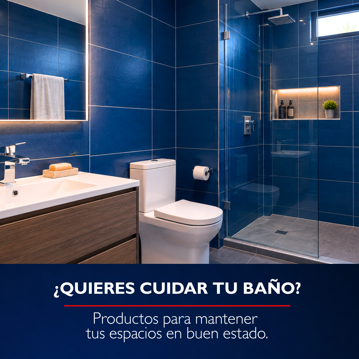 ¿Quieres cuidar tu baño?
