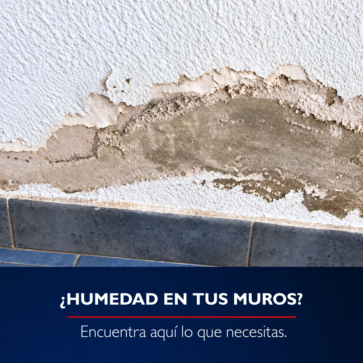 ¿Tienes humedad en los muros?
